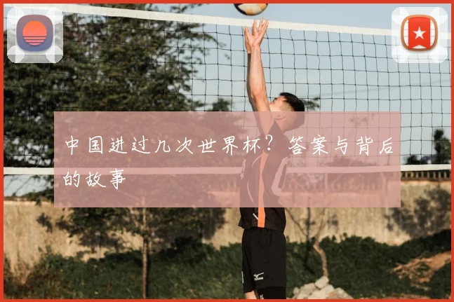 中国进过几次世界杯?答案与背后的故事