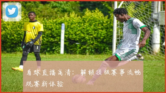 看球直播高清：解锁顶级赛事流畅观赛新体验